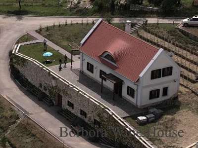 Exclusive 3 bedroom Farmhouse for sale with panoramic view in Erd, Csanad