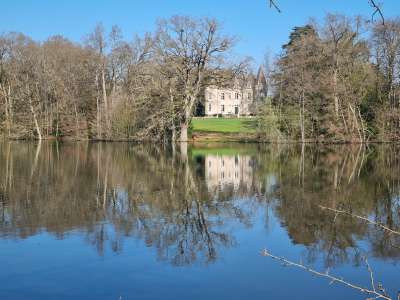 Historical 9 bedroom Chateau for sale with countryside view in Cornille, Brittany