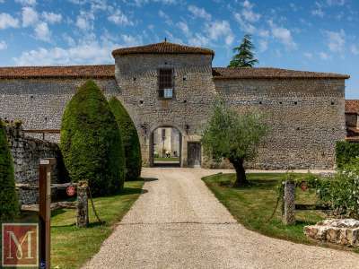 Character 6 bedroom Castle for sale with countryside view in Angouleme, Poitou-Charentes